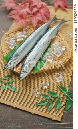 Taste of Autumn | Raw Pacific saury Taste of Autumn | Raw Pacific saury 119324899