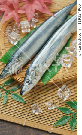 Taste of Autumn | Raw Pacific saury 119324900