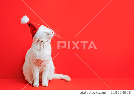 Happy smilling white cat in a red Santa Claus hat 119324908