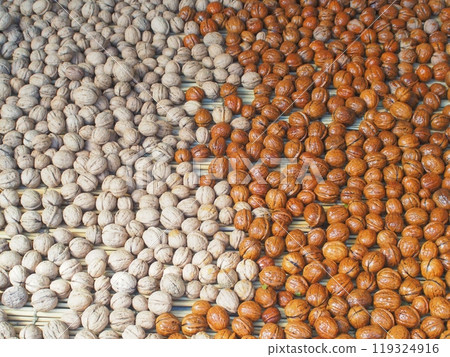 A row of walnuts, showing the process of drying walnuts8 A row of walnuts, showing the process of drying walnuts8 119324916