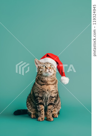 Tabby cat on green background in Santa Claus hat  119324945