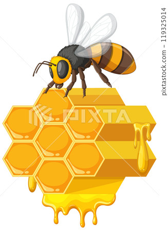 Bee on Honeycomb with Dripping Honey Bee on Honeycomb with Dripping Honey 119325014