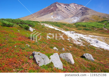 秋葉季節的旭岳，北海道東川町 119325198