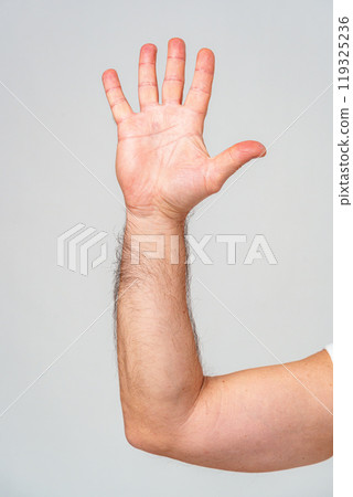 Hand raised in greeting against a plain background 119325236