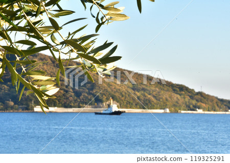 小豆島橄欖海灘 小豆島橄欖海灘 119325291