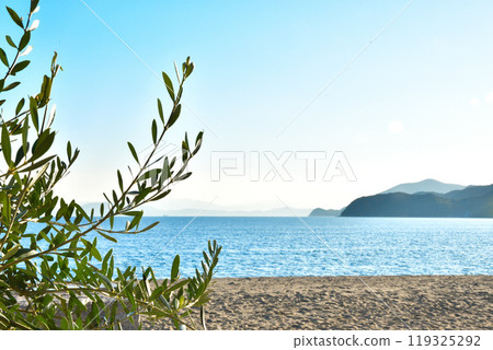 橄欖在移動,背景是小豆島橄欖海灘 橄欖在移動,背景是小豆島橄欖海灘 119325292