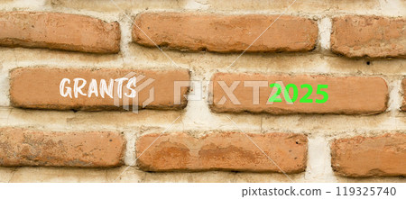 Planning grants 2025 new year symbol. Concept words Grants 2025 on beautiful brown brick wall. Beautiful brown brick wall background. Business grants 2025 new year concept. Copy space. 119325740