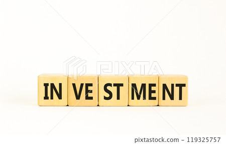 Investment symbol. Concept word Investment on beautiful wooden blocks. Beautiful white background. Business investment concept. Copy space. 119325757