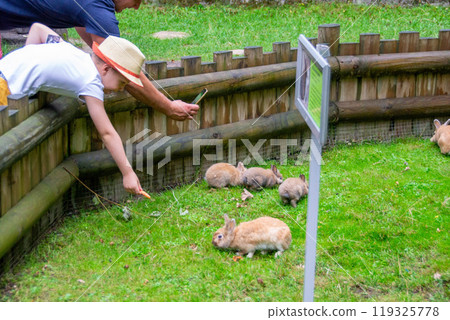 Rabbit on the grass. Animals in the wild 119325778