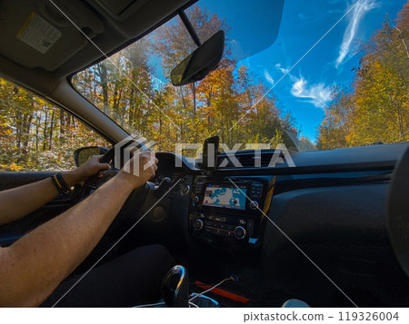 Driving Through a Scenic Forest Road Driving Through a Scenic Forest Road 119326004