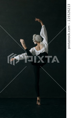 Dynamic portrait of young ballet dancer dressed old garment and wig, leaping gracefully in motion against vintage style background. 119326213