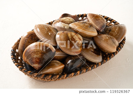 蛤蜊 文蛤 海鮮 新鮮 生的 raw fresh clam 活 はまぐり ハマグリ 蛤蜊 文蛤 海鮮 新鮮 生的 raw fresh clam 活 はまぐり ハマグリ 119326367