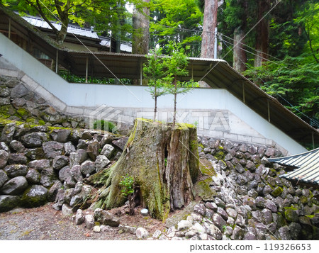 曹洞禪 大雄山西乘寺(神奈川縣南足柄市大王町) 曹洞禪 大雄山西乘寺(神奈川縣南足柄市大王町) 119326653