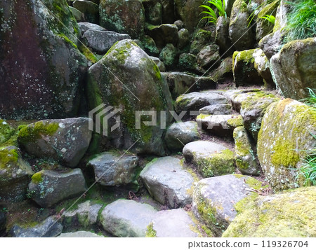 Soto Zen sect Daiyuzan Saijoji Temple (Daiyucho, Minamiashigara City, Kanagawa Prefecture) 119326704