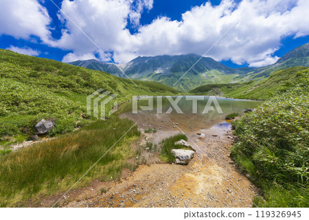 Scenery of Midorigaike Pond 119326945