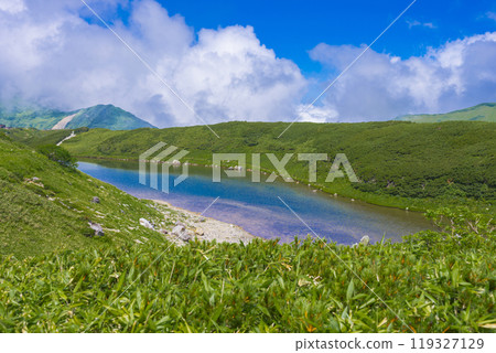 Scenery of Midorigaike Pond 119327129