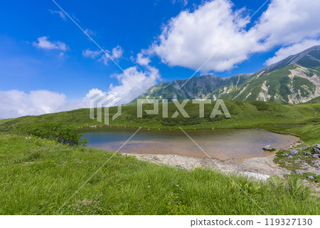Scenery of Midorigaike Pond 119327130