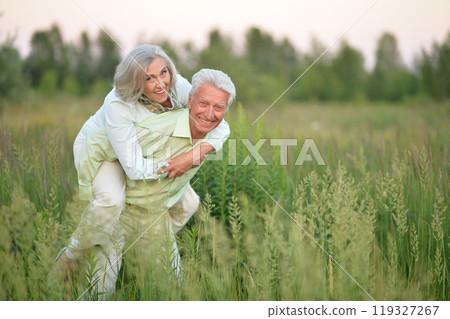 Beautiful senior couple relaxing and posing in the summer park 119327267
