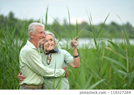 Portrait of beautiful senior couple posing in the park 119327269