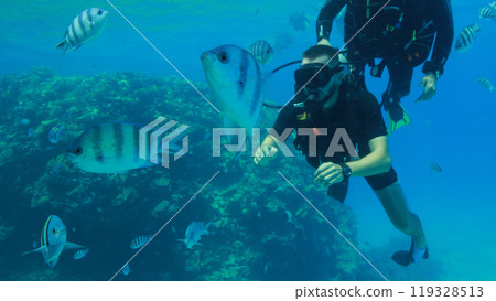 Scuba diver in the sea 119328513