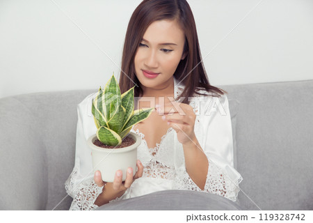 Woman looks at small dracaena trifasciata in a stylish white pot. 119328742