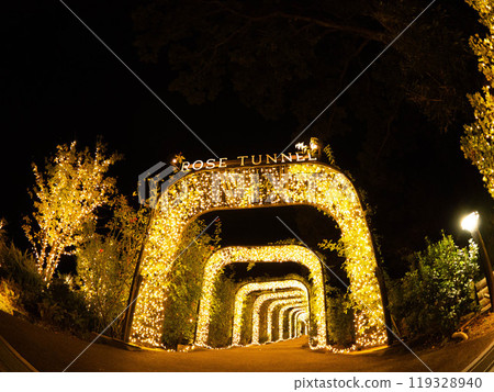 Winter night park with sparkling illuminations 119328940
