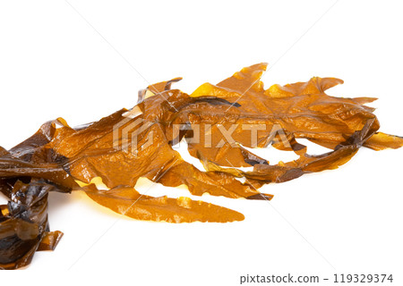Laminaria (Kelp) Seaweed Isolated on White Background.Fresh seaweed wakame 119329374