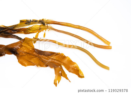 Laminaria (Kelp) Seaweed Isolated on White Background.Fresh seaweed wakame Laminaria (Kelp) Seaweed Isolated on White Background.Fresh seaweed wakame 119329378