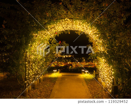 illumination 119329452