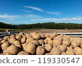 Delicious fresh potatoes from Hokkaido 119330547