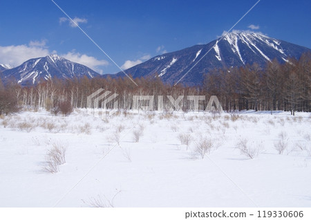 冬天的小田代原和男體山/大名湖山 119330606
