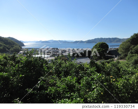 愛媛郡久名列島宇及島街景 愛媛郡久名列島宇及島街景 119330734