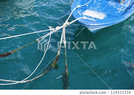 Ship mooring rope 119331334
