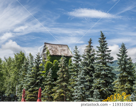 白色戀人公園　 119331602