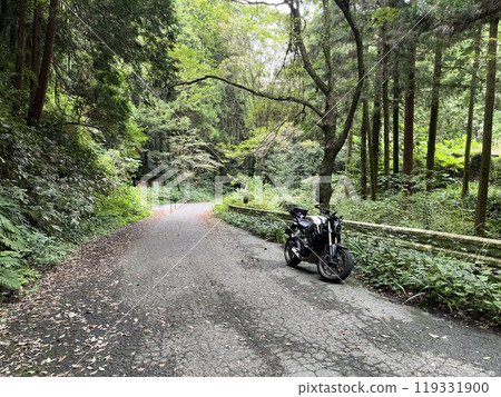Pass road 119331900