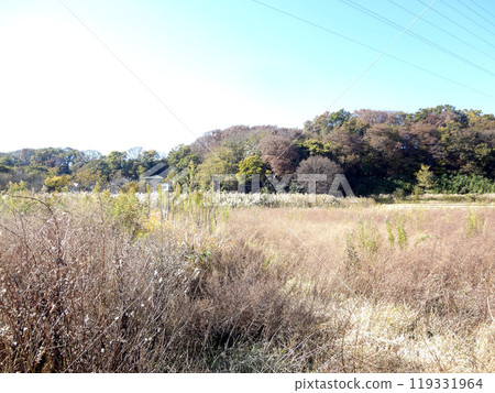 Farmland Farmland 119331964