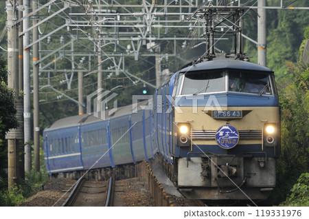 Blue Train Fuji Hayabusa pulled by EF66 No. 43 Blue Train Fuji Hayabusa pulled by EF66 No. 43 119331976