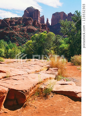 Cathedral Rock Sedona Arizona on Film 119332303