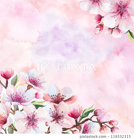 Watercolor pink cherry flowers with square pink backgound, wedding sakura illustration 119332315