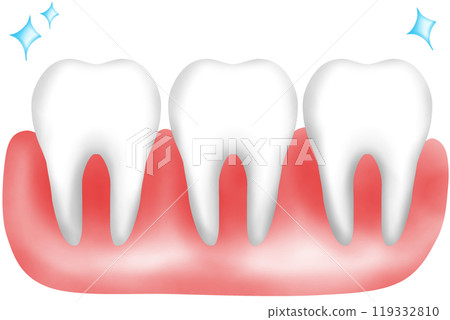 Healthy human teeth with gum Healthy human teeth with gum 119332810