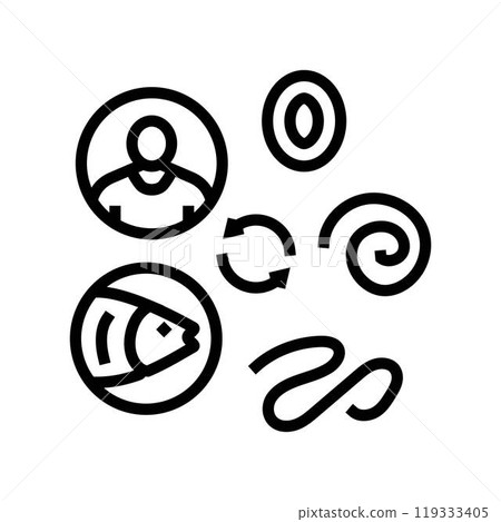 worm lifecycle parasite line icon vector illustration worm lifecycle parasite line icon vector illustration 119333405