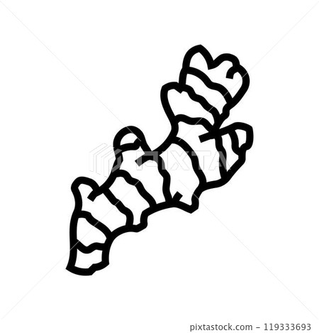 ginger root ayurvedic herb line icon vector illustration 119333693