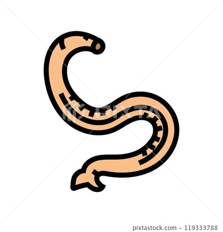 hookworm parasite color icon vector illustration 119333788