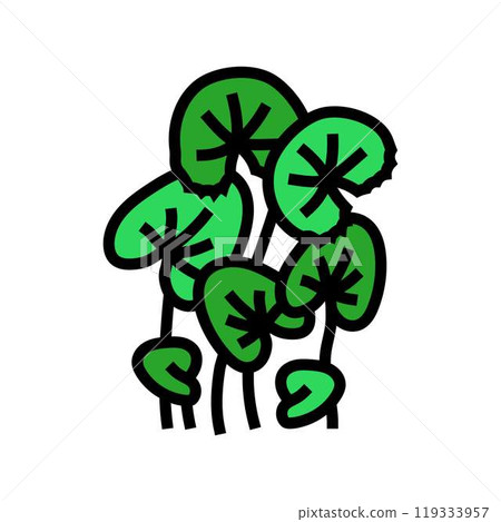 gotu kola ayurvedic herb color icon vector illustration 119333957