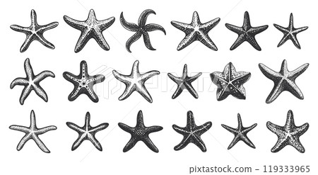 Retro Starfish Set Linocut Print Style Icons Collection Beach Sea Life Decorative Illustrations Coastal Art for Crafting and Home Decor Retro Starfish Set Linocut Print Style Icons Collection Beach Sea Life Decorative Illustrations Coastal Art for Crafting and Home Decor 119333965