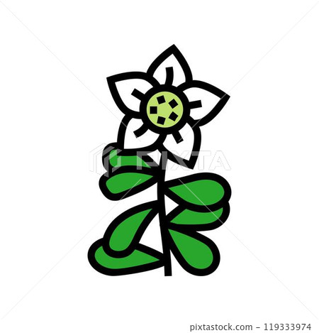brahmi ayurvedic herb color icon vector illustration 119333974