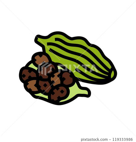 cardamom pods ayurvedic herb color icon vector illustration cardamom pods ayurvedic herb color icon vector illustration 119333986