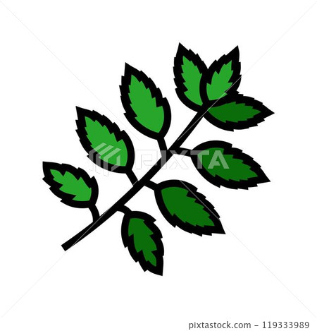 neem leaves ayurvedic herb color icon vector illustration neem leaves ayurvedic herb color icon vector illustration 119333989