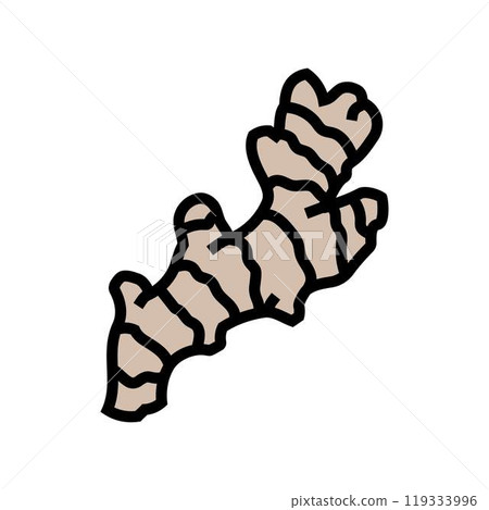 ginger root ayurvedic herb color icon vector illustration 119333996