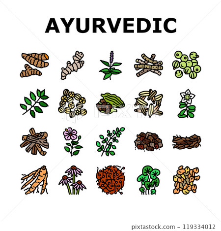 ayurvedic herbs medicine health icons set vector 119334012